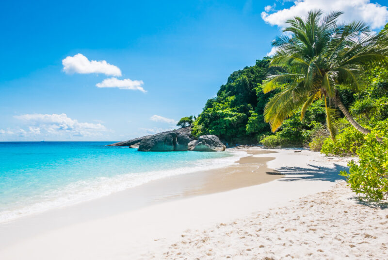 Punta Cana All-Inclusive Unraveling Differences