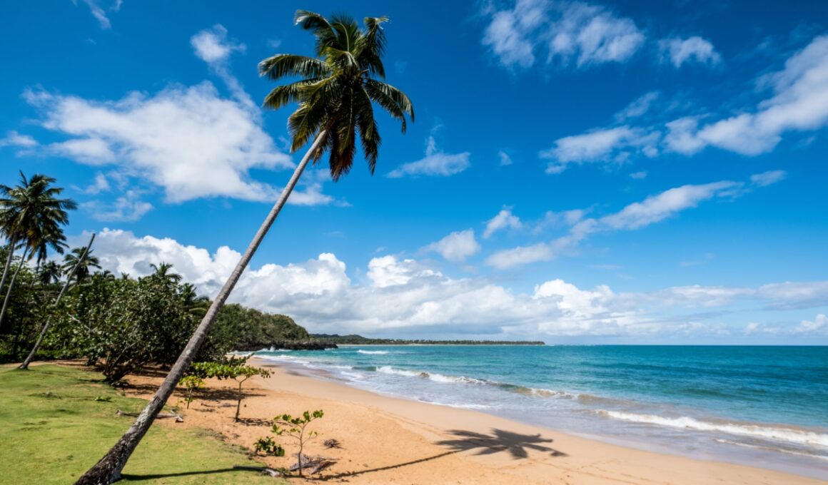 The Best 5 Beaches in Las Terrenas