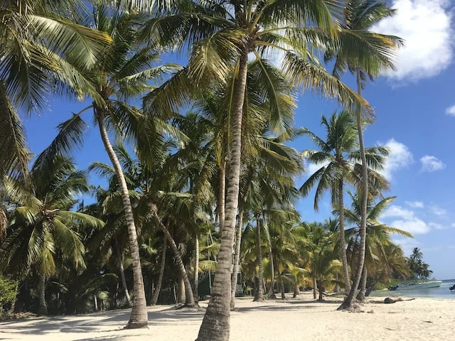 Las Terrenas-Samana: Things to do and places to visit
