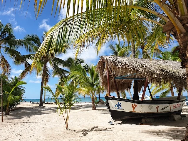 Saona Island: the unforgettable excursion, everything you need to know