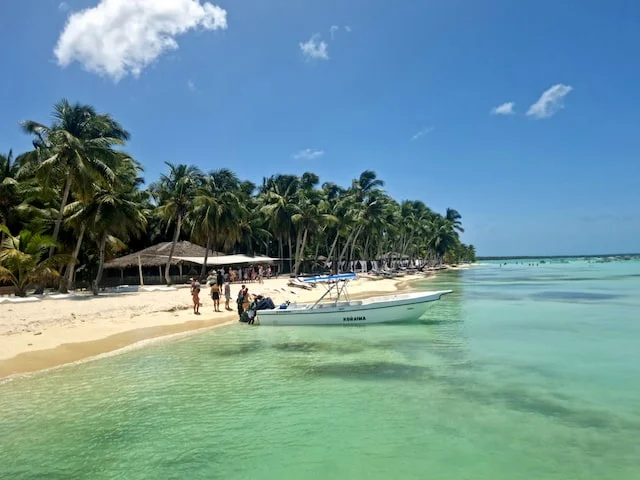 What is the hotel offers on Saona Island?