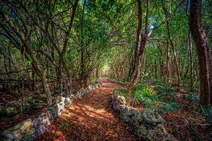 The Best Punta Cana Cenote